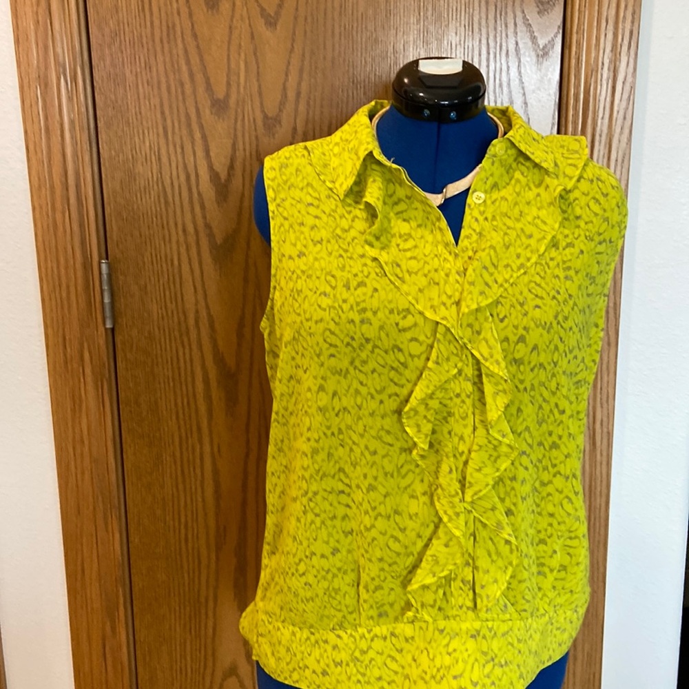 Great Cabi Shirt